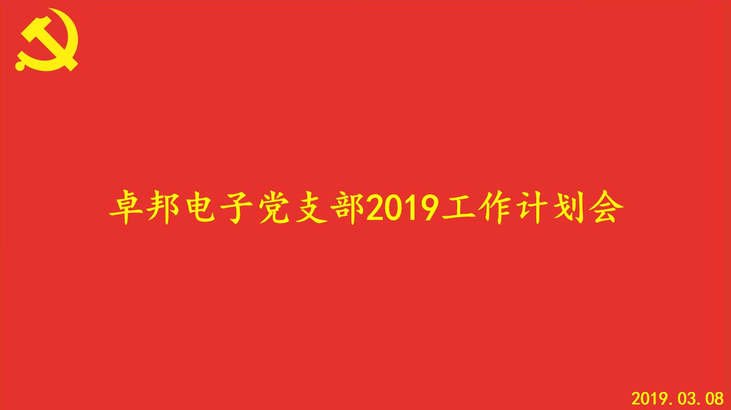 深夜福利视频网站電子黨支部2019工作計劃會順利召開